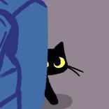 Do NOT Take This Cat Home 2